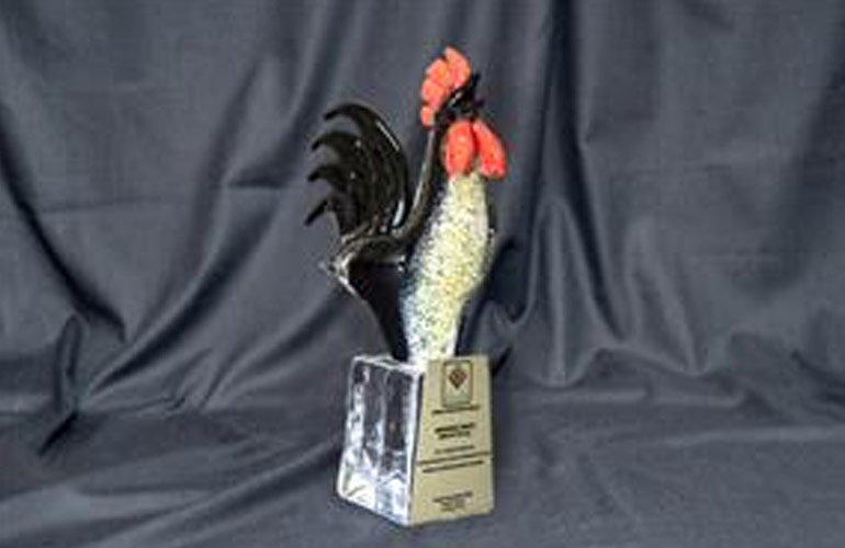 Award from DENIB to Menderes Textile